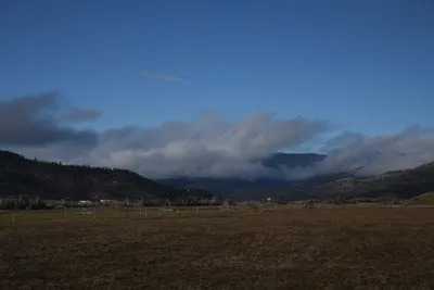 DSC_5782 (Large).JPG